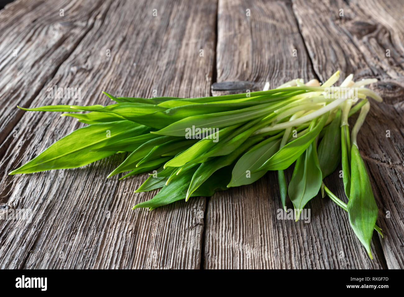 Fresh young wild garlic leaves on a rustic background Stock Photo