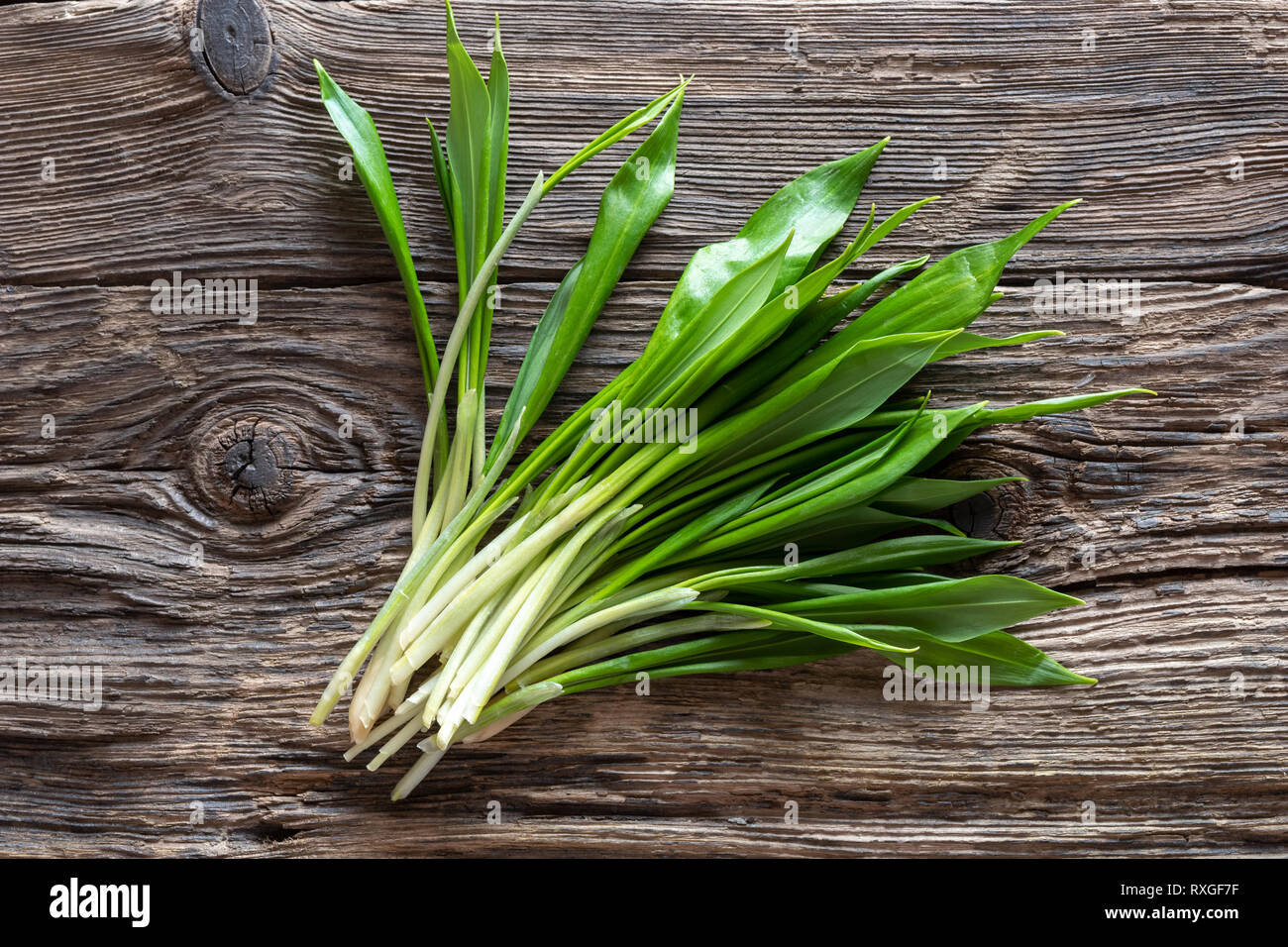 Fresh young wild garlic leaves on a rustic background Stock Photo