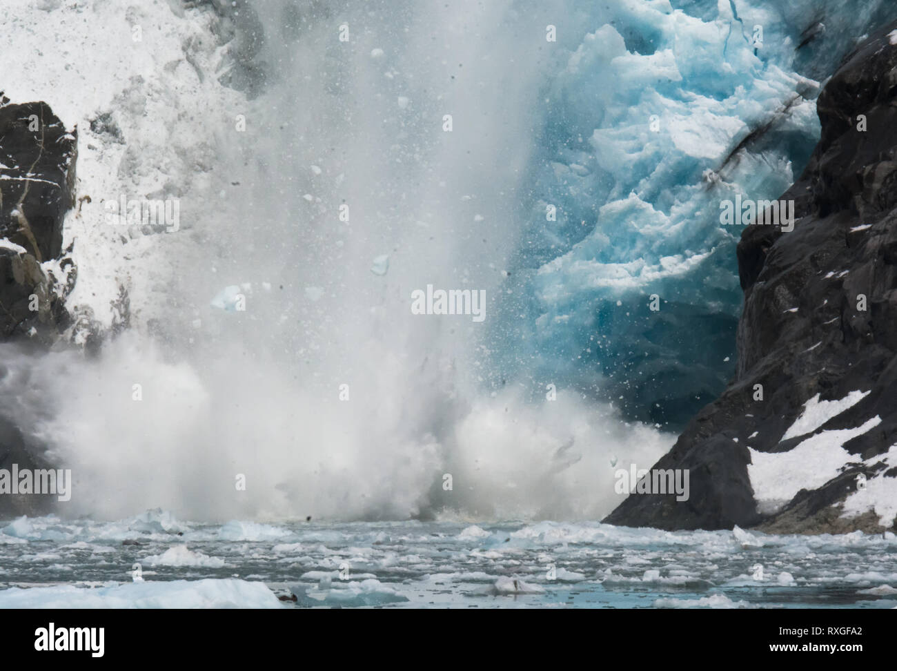 Tons of ice hitting the fjord in south central Alaska throw up a huge plume of spray in front of the blue ice of an ancient glacier Stock Photo