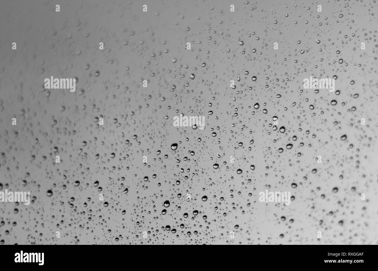 rain drops Stock Photo Alamy