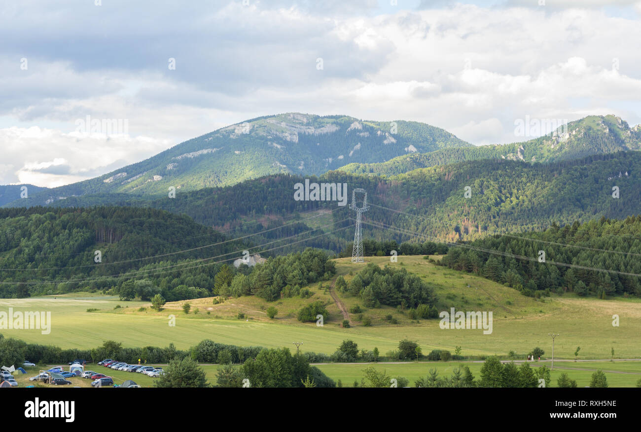 generic summer landscape with forest and meadows Stock Photo