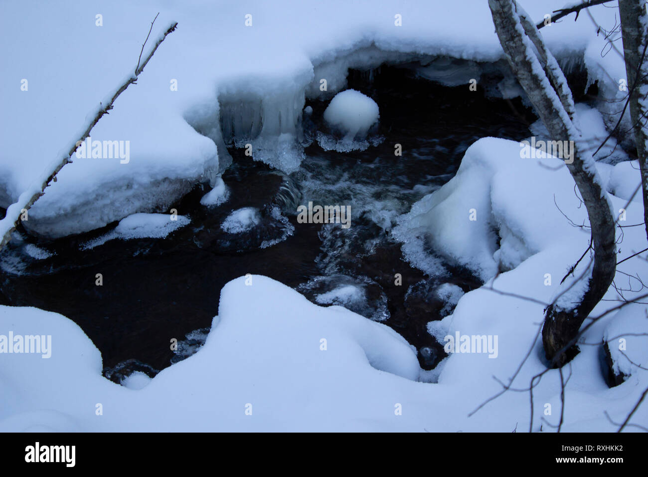 Water flowing surrounded by ice and snow in a forest Stock Photo - Alamy