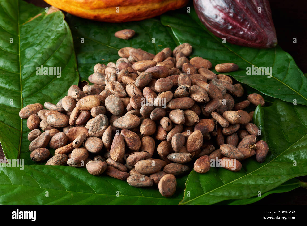 Group of cacao beans on top of green leaf background Stock Photo Alamy