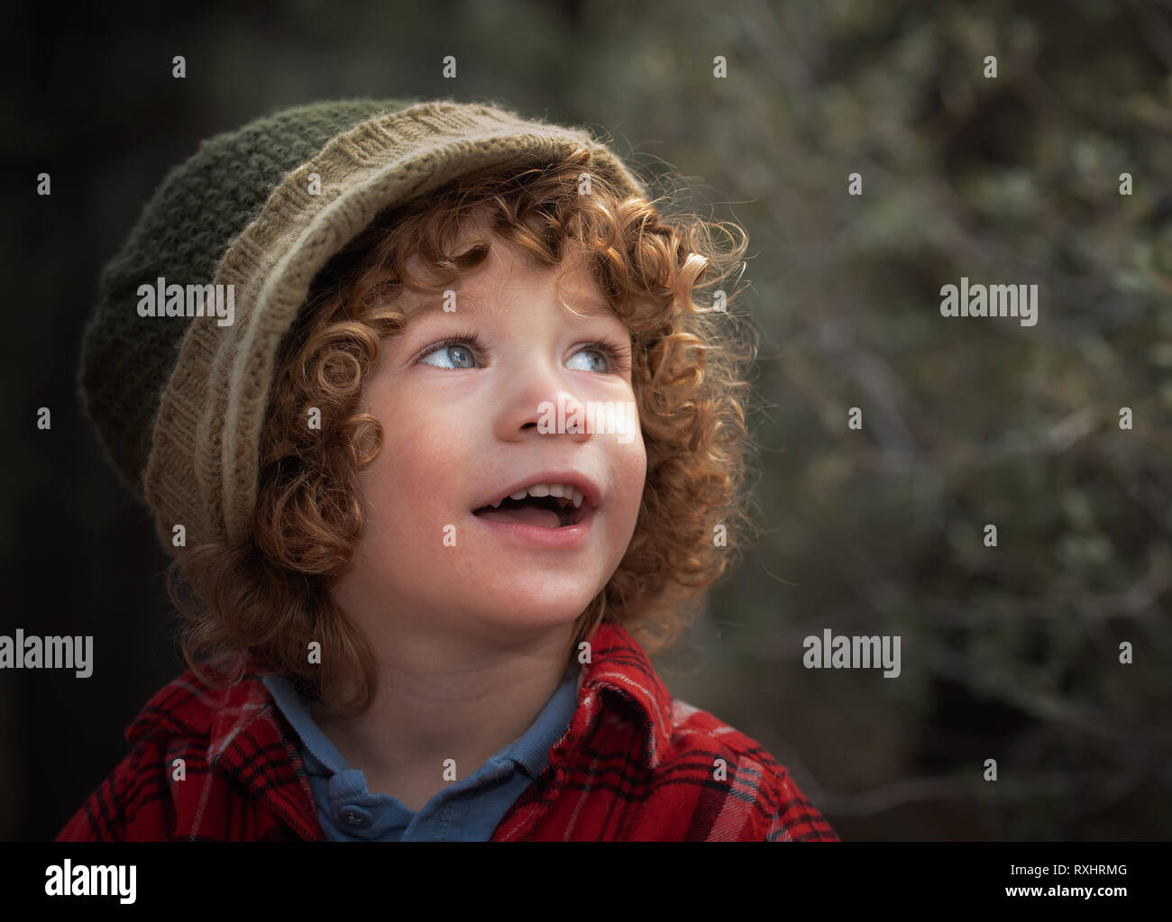 Curly hair cute 3 years old kid Stock Photo