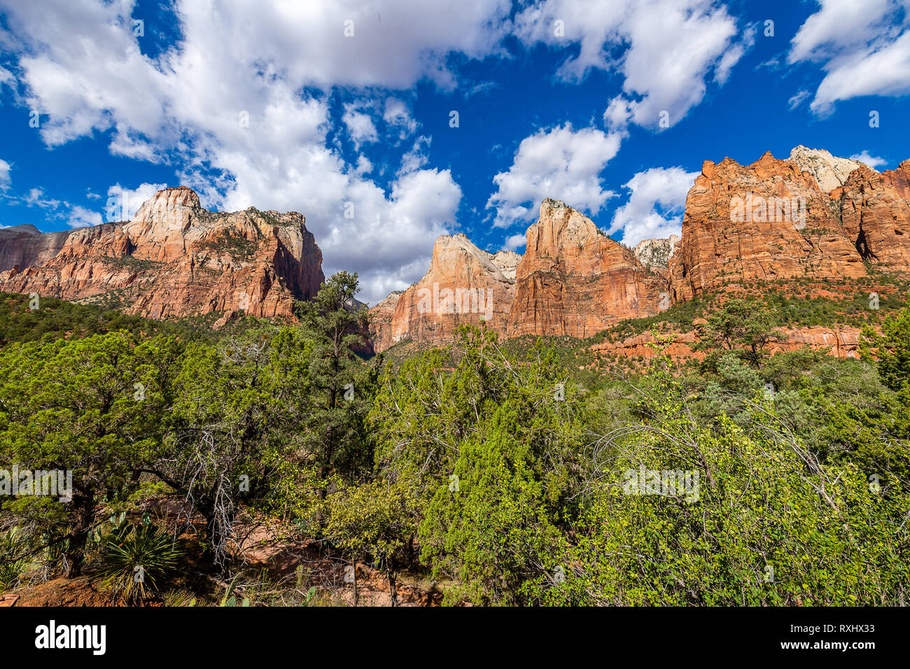 Zion National Park, Utah Stock Photo