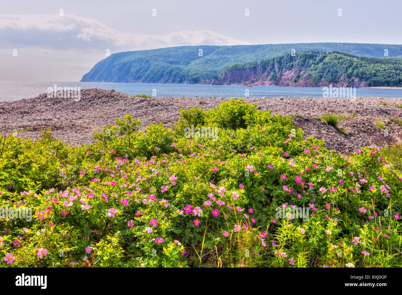 View from Ingonish Beach, Cape Breton Island, Nova Scotia, Canada Stock Photo Alamy