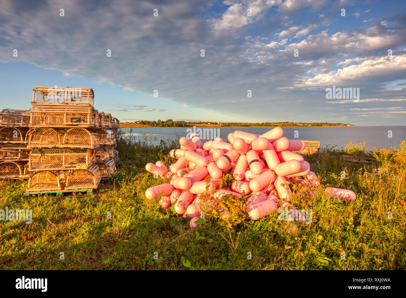 Lobster traps and buoys, Nine Mile Creek Wharf Harbor, Prince Edward