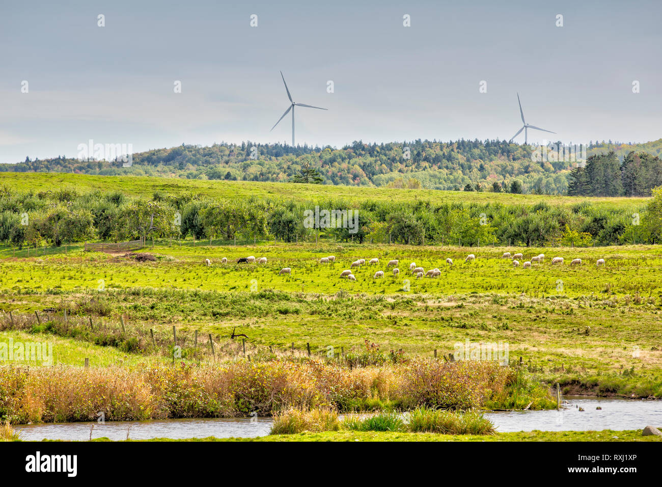 Currys corner hires stock photography and images Alamy