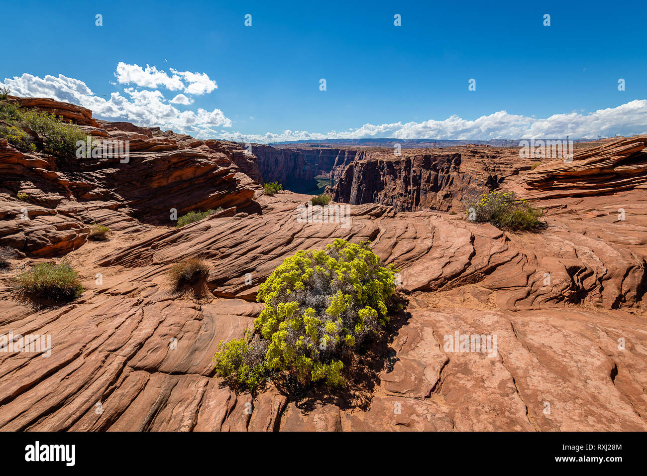 Lake Powell National Recreation Area Stock Photo Alamy