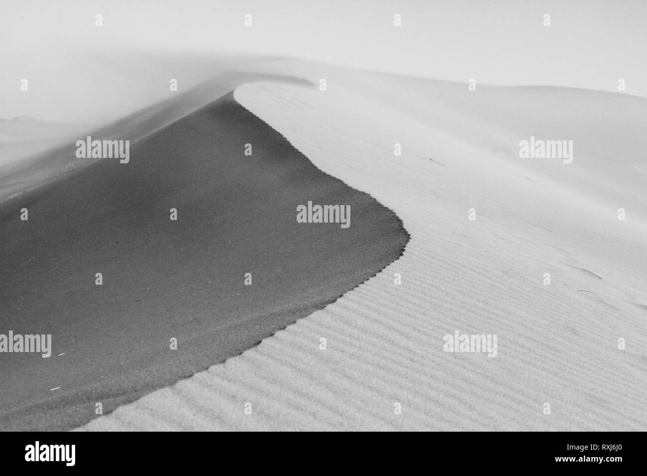 Dunes ridge detail, close up. Sand ripples and texture. Sand in the wind background. Sahara desert. Morocco. Black and white, monochrome. Stock Photo