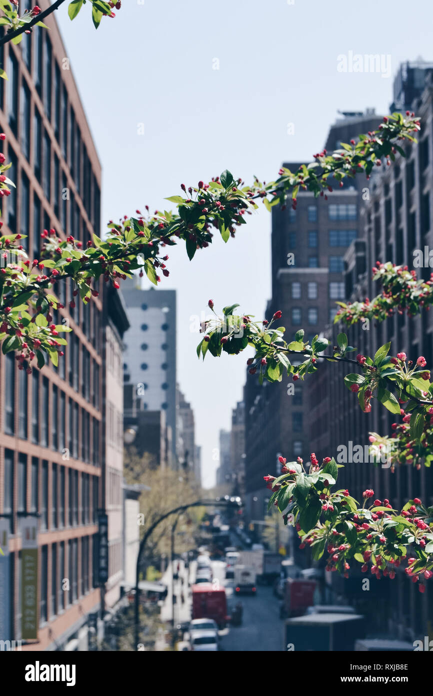Street seen from the High Line Stock Photo - Alamy