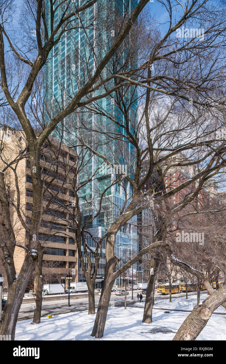 Trees in Grant Park and Michigan avenue streetwall in the winter Stock Photo