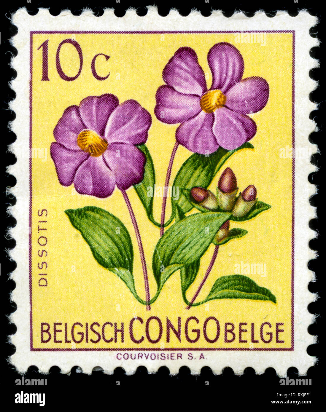 Postage stamp from Belgian Congo in the Flowers series issued in 1952 Stock Photo