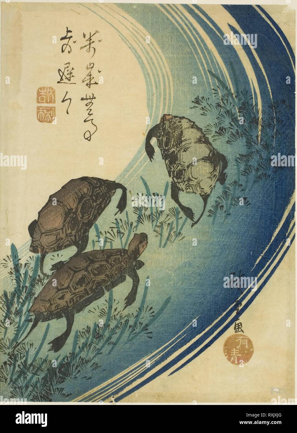 Utagawa Hiroshige. Turtles swimming in a stream. 1835–1845
