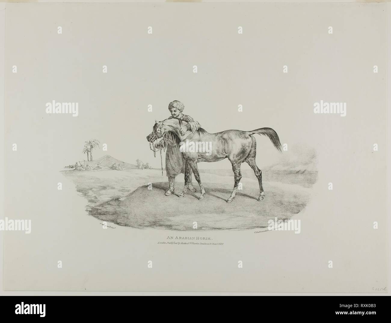 An Arabian Horse, plate 8 from Various Subjects Drawn from Life on Stone. Jean Louis André Théodore Géricault (French, 1791-1824); printed by Charles Joseph Hullmandel (German and English, 1789-1850); published by Rodwell and Martin. Date: 1821. Dimensions: 170 × 335 mm (image); 377 × 495 mm (sheet). Lithograph in black on ivory wove paper. Origin: France. Museum: The Chicago Art Institute. Stock Photo