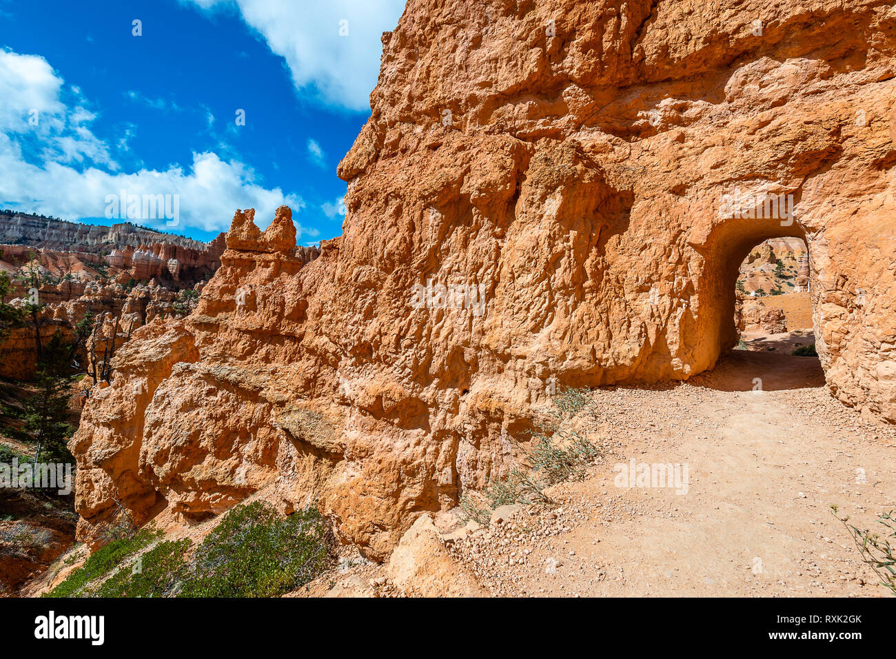 Bryce Canyon National Park Stock Photo