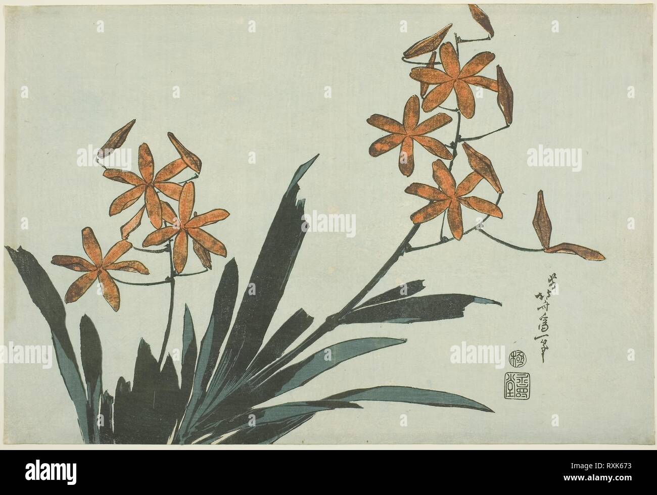 Orange Orchids, from an untitled series of flowers. Katsushika Hokusai ?? ??; Japanese, 1760-1849; Publisher: Hibino Yohachi; Japanese, unknown. Date: 1827-1837. Dimensions: 25.5 x 37.7 cm (10 x 14 1/2 in.). Color woodblock print; oban. Origin: Japan. Museum: The Chicago Art Institute. Stock Photo