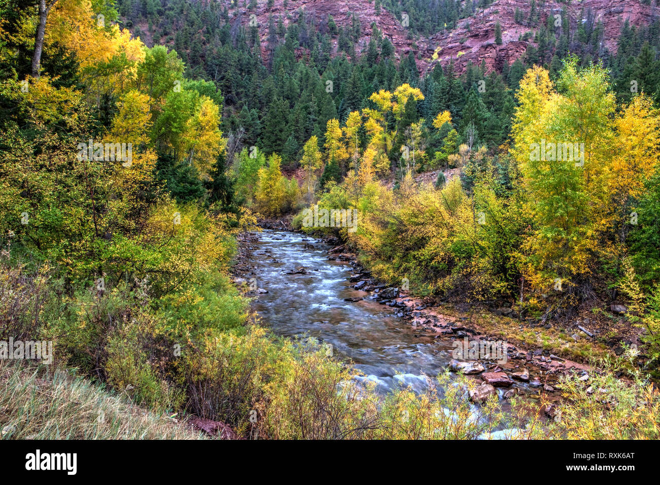 Mountain Creek, Colorado (near Quray), USA Stock Photo