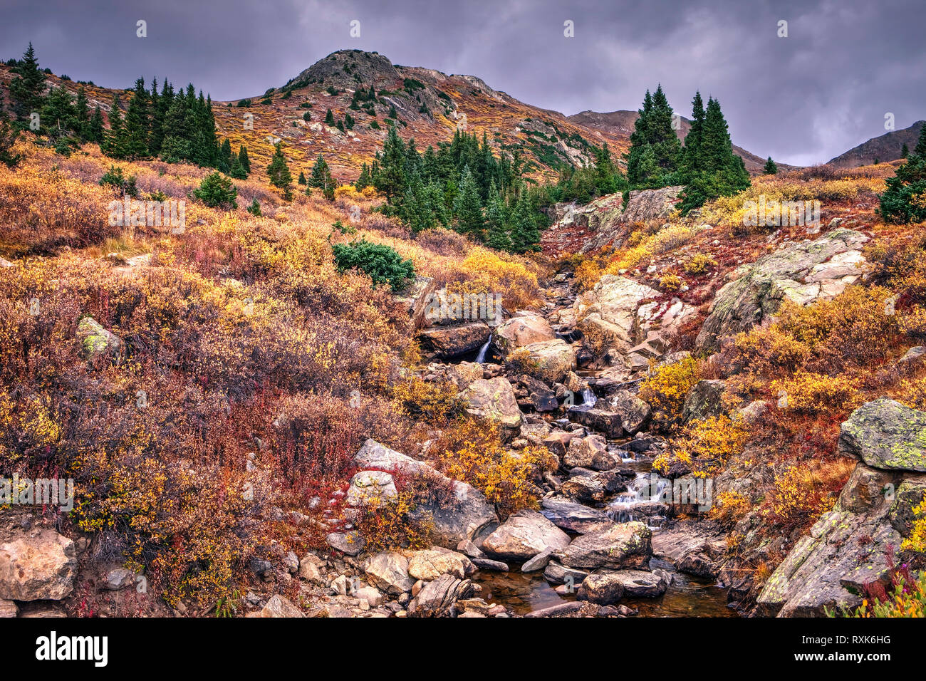 Creek along Roaring Fork Valley, Colorado, USA Stock Photo