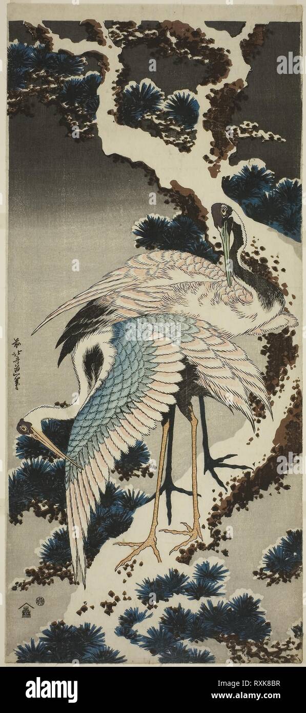 Cranes on snow-covered pine. Katsushika Hokusai ?? ??; Japanese, 1760-1849. Date: 1829-1839. Dimensions: 20 5/8 x 9 1/4 in. Color woodblock print; vertical nagaban. Origin: Japan. Museum: The Chicago Art Institute. Stock Photo