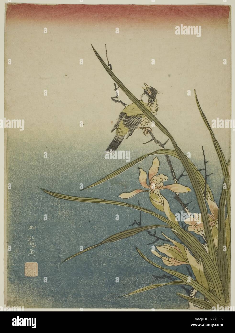 Orchid and Bird. Isoda Koryusai; Japanese, 1735-1790. Date: 1765-1775. Dimensions: 10 x 7 1/2 in. Color woodblock print; chuban. Origin: Japan. Museum: The Chicago Art Institute. Stock Photo