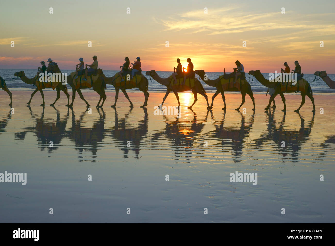 Camel Train on Beach, Cable Beach, in Broome, Western Australia, Tourist camel ride. Stock Photo