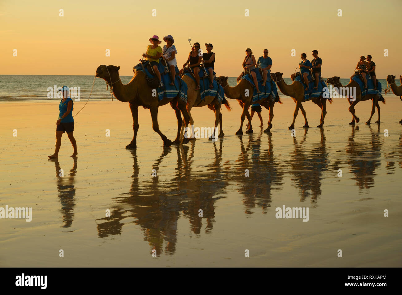Camel Train on Beach, Cable Beach, in Broome, Western Australia, Tourist camel ride. Stock Photo
