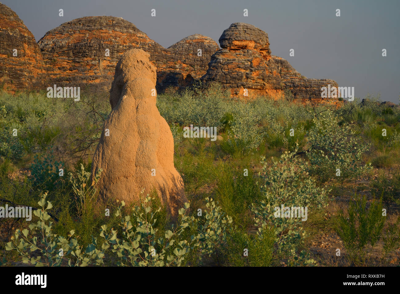 Termite Mound Photographed in front of  Bungle Bungles, with smoke-filled air from nearby controlled forest fires. Unique mountain range in Purnululu National Park.  World Heritage Site in the East Kimberley region of Western Australia Stock Photo