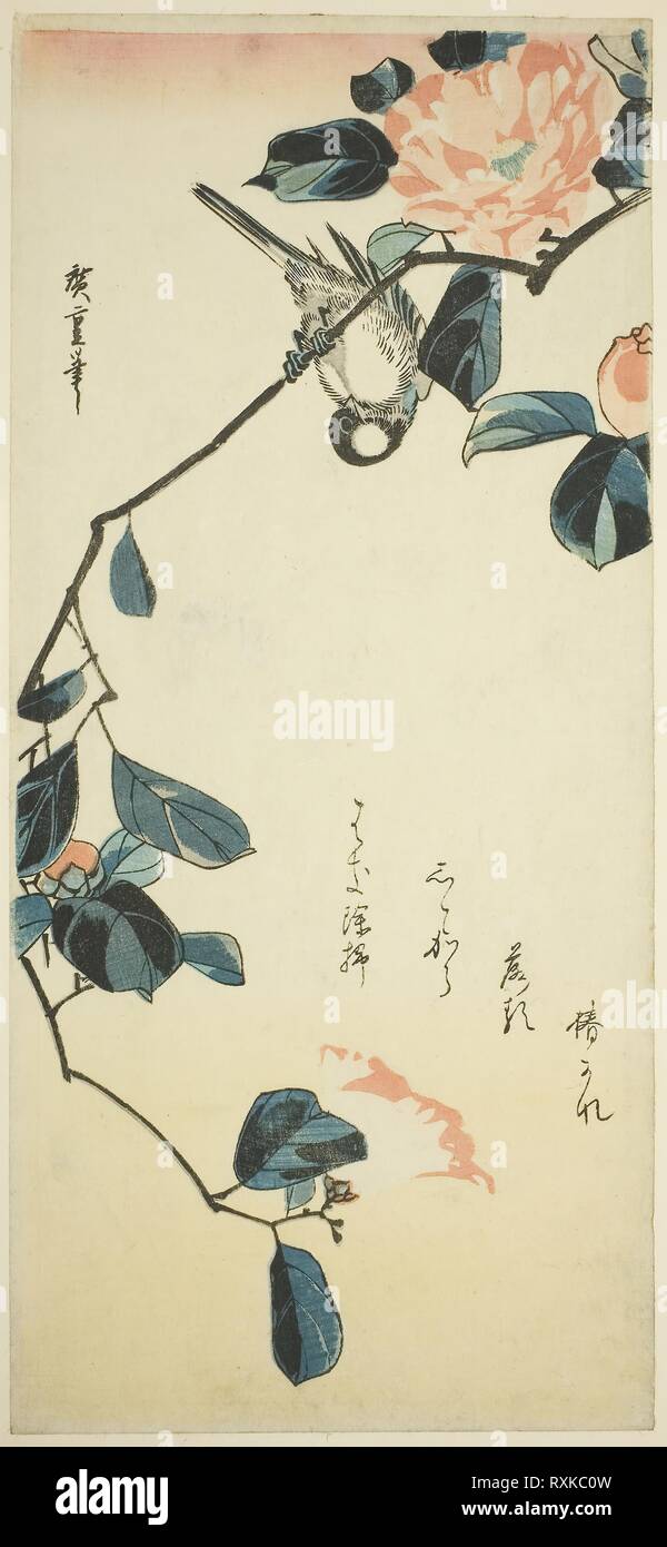 Bullfinch on camellia branch. Utagawa Hiroshige ?? ??; Japanese, 1797-1858. Date: 1830-1833. Dimensions: 38 x 17.3 cm (15 x 6 3/4 in.). Color woodblock print; otanzaku. Origin: Japan. Museum: The Chicago Art Institute. Stock Photo