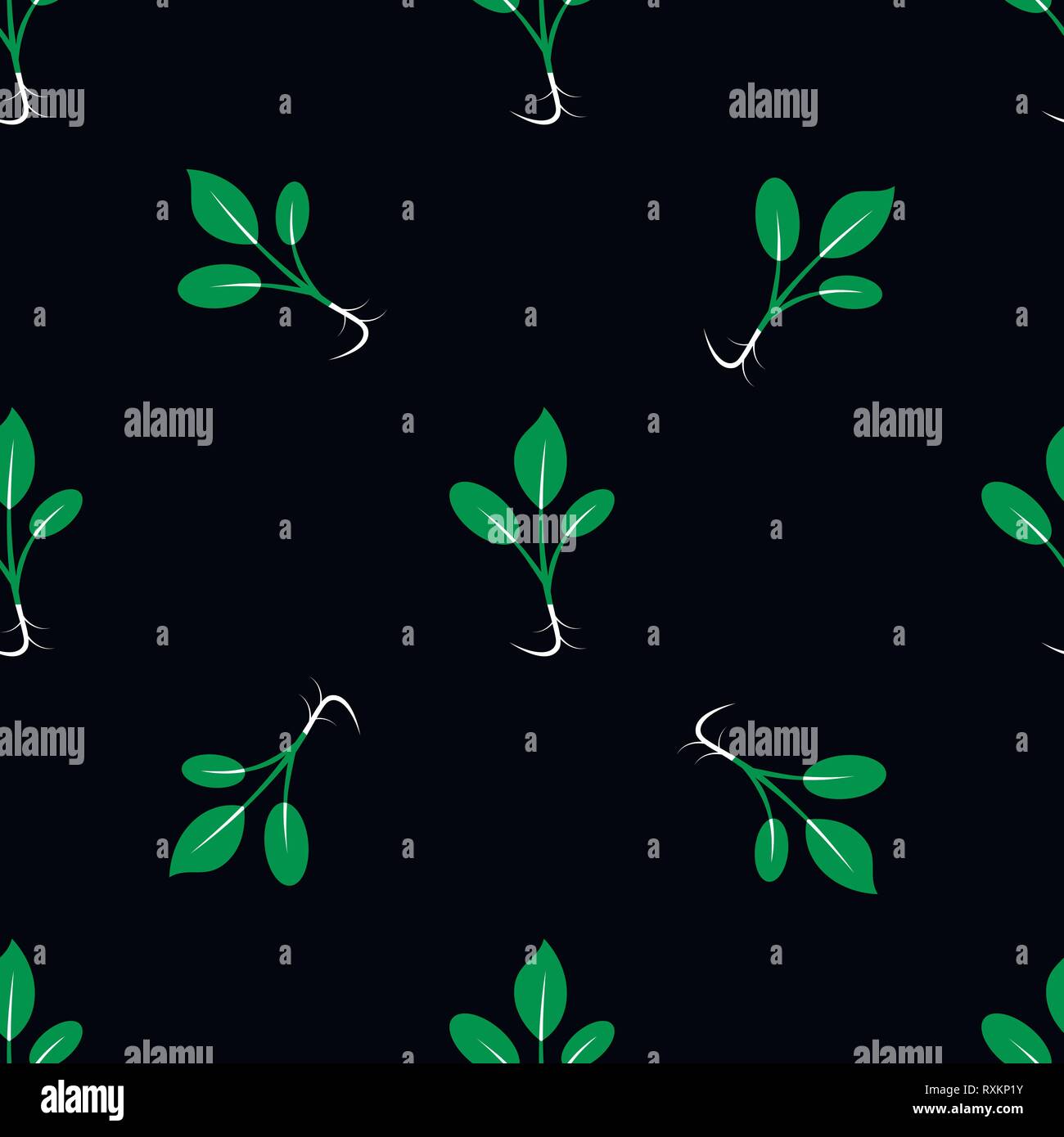Sprouting Patterns Microgreens. Sprouting seeds of a plant. Seamless pattern. Vegan food ...