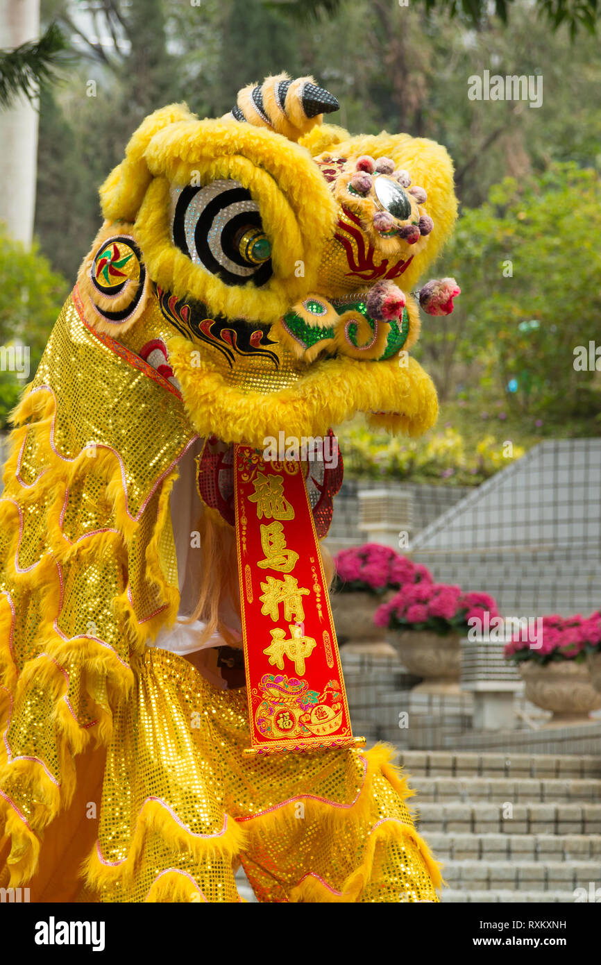 Yellow dragon costume at lunar new year / Chinese new year, Hong Kong Stock Photo