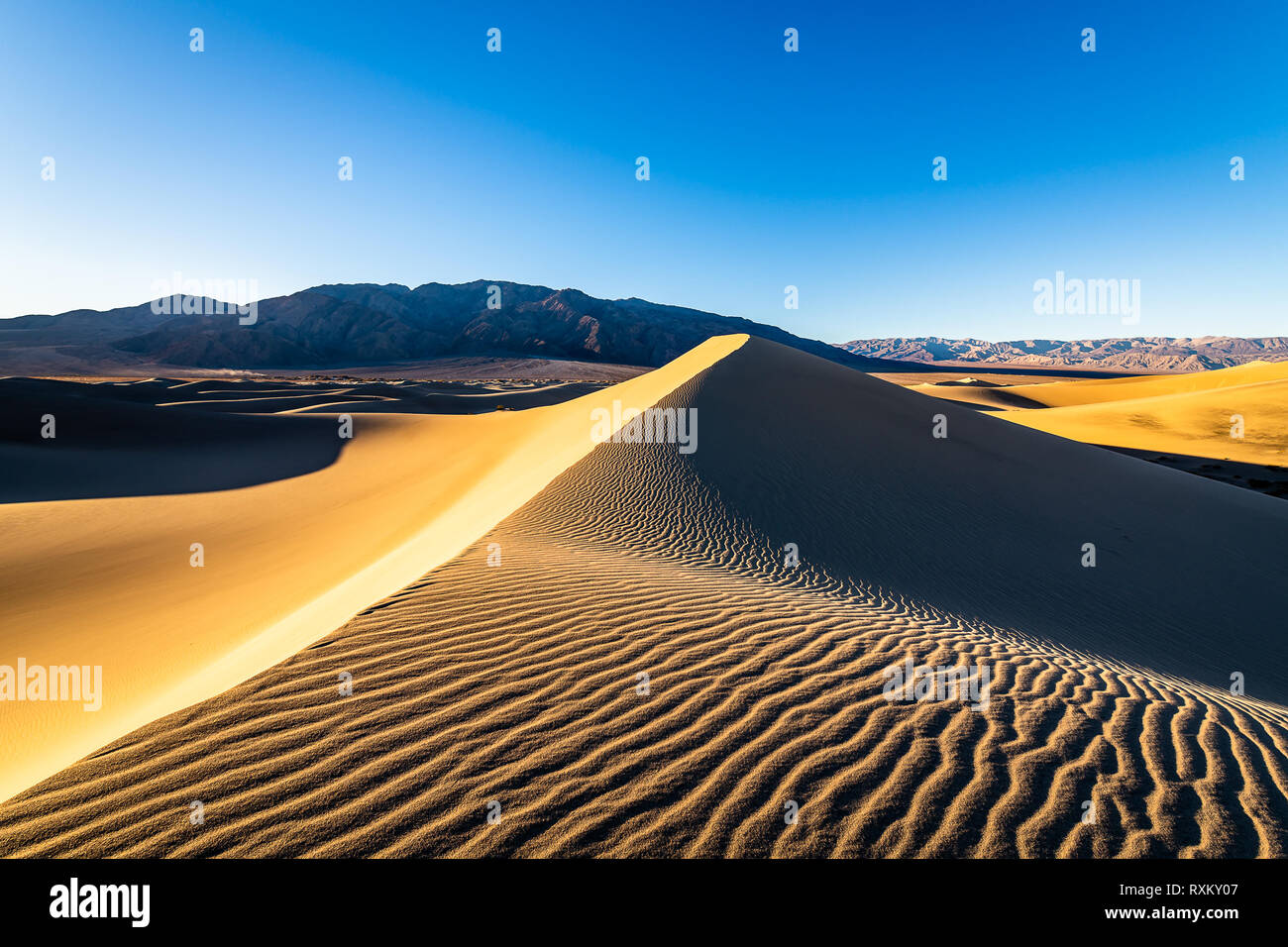 Mesquite Flat Sand Dunes at golden hour Stock Photo