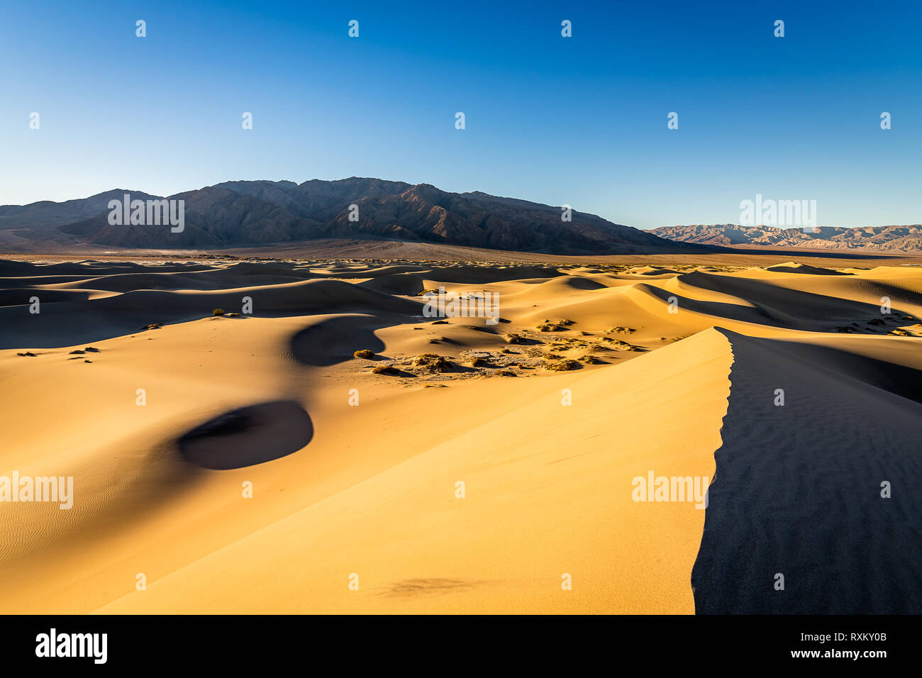 Mesquite Flat Sand Dunes at golden hour Stock Photo