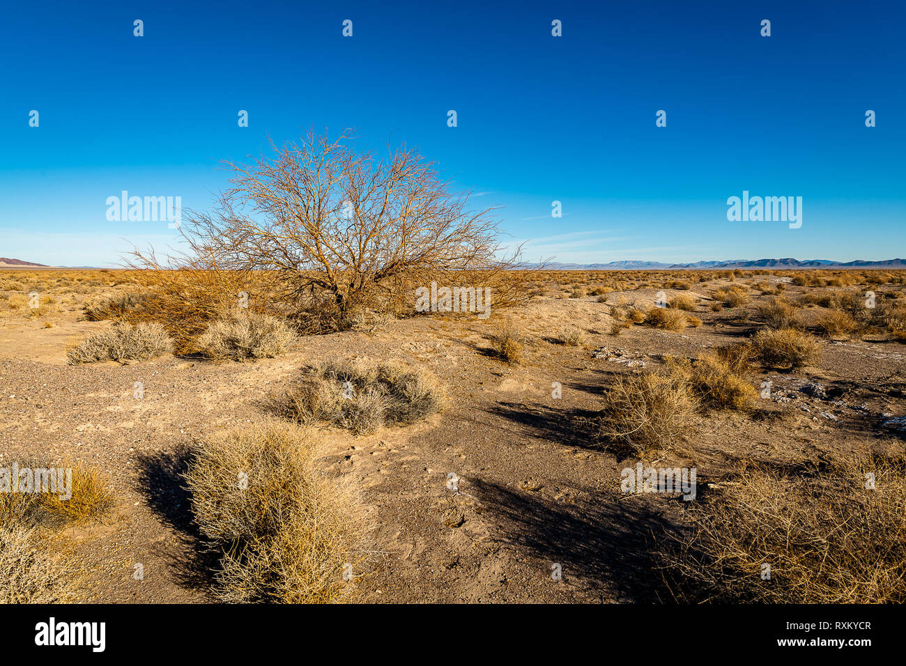 The CaliforniaNevada Desert Stock Photo Alamy