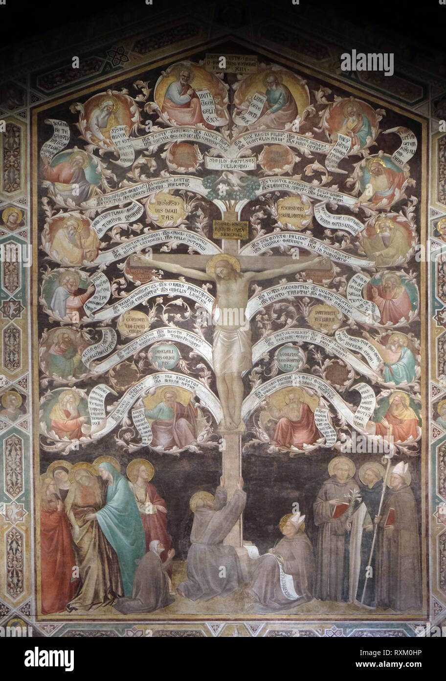 The Jesus Tree Of Life