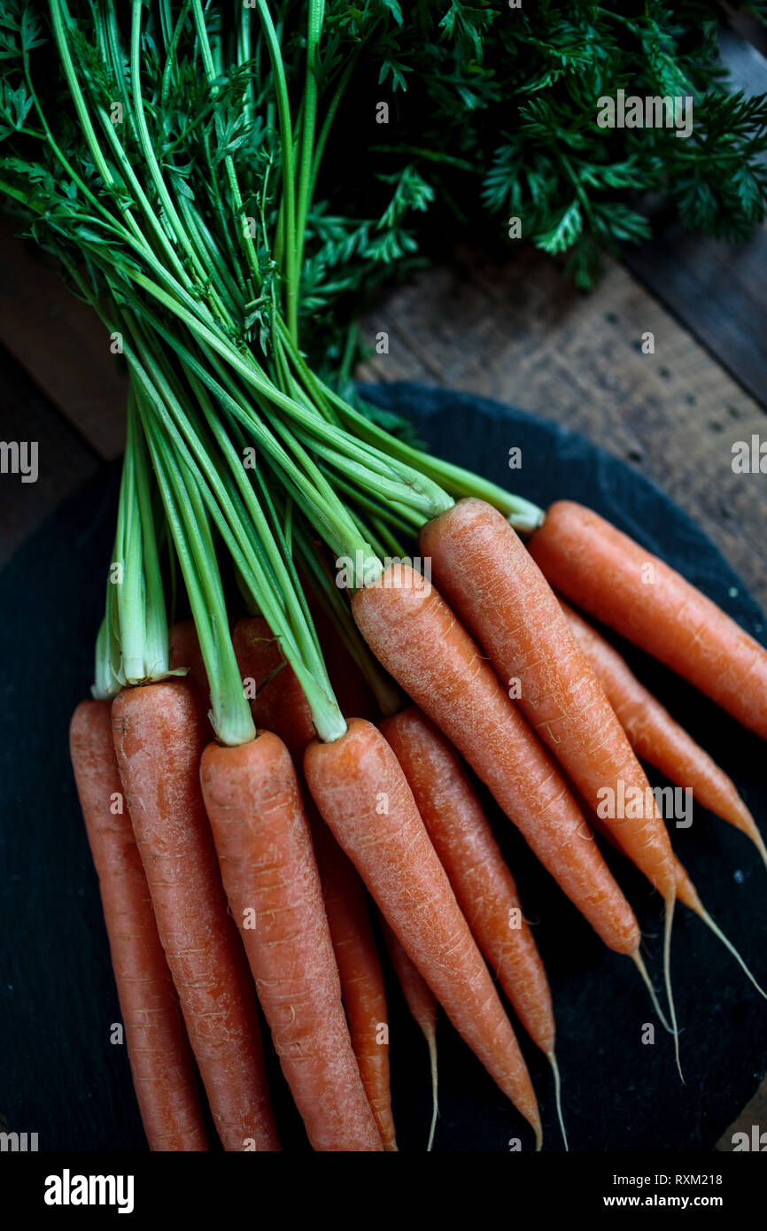 Studio Still Life with fresh Carrots with Greens Stock Photo