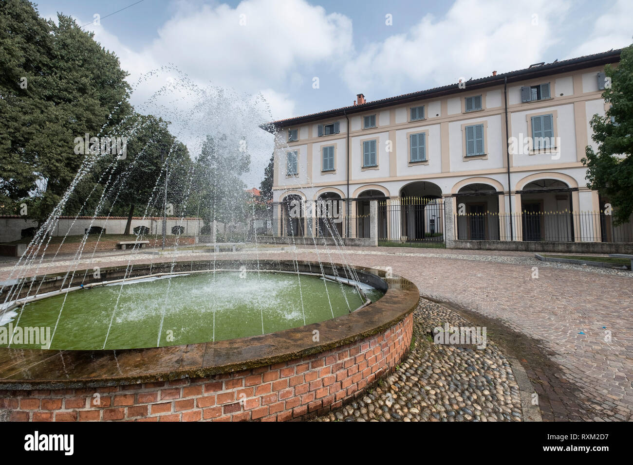 Velate High Resolution Stock Photography And Images Alamy