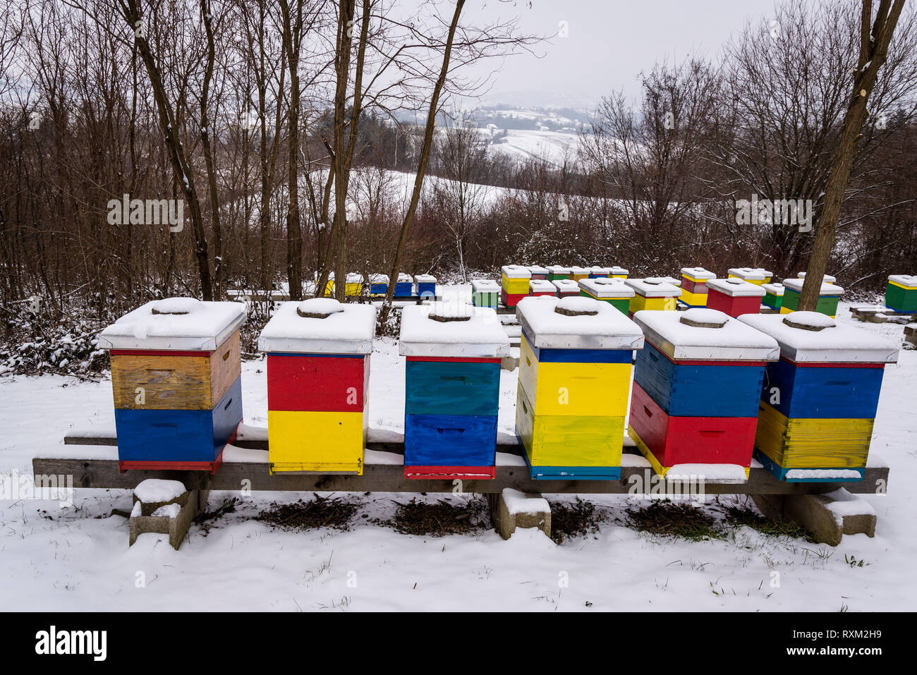 Colourful beehives in snow, Croatia Stock Photo