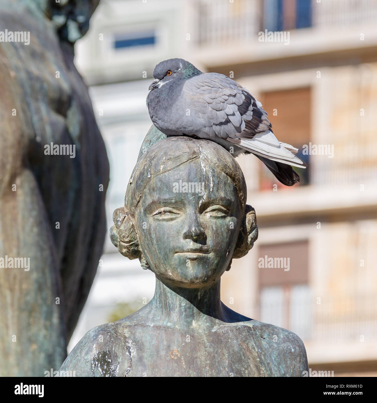 Valencia,Spain December 02, 2016: Pigeon on head of girl from historic fountain at Plaza de la Virgen in Valencia Spain. Stock Photo