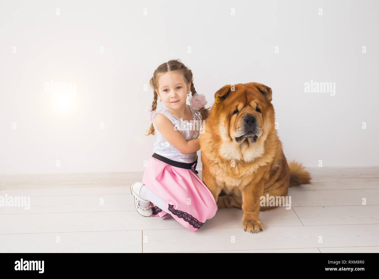 people, animals and children concept - girl with ginger dog of chow-chow on white background Stock Photo
