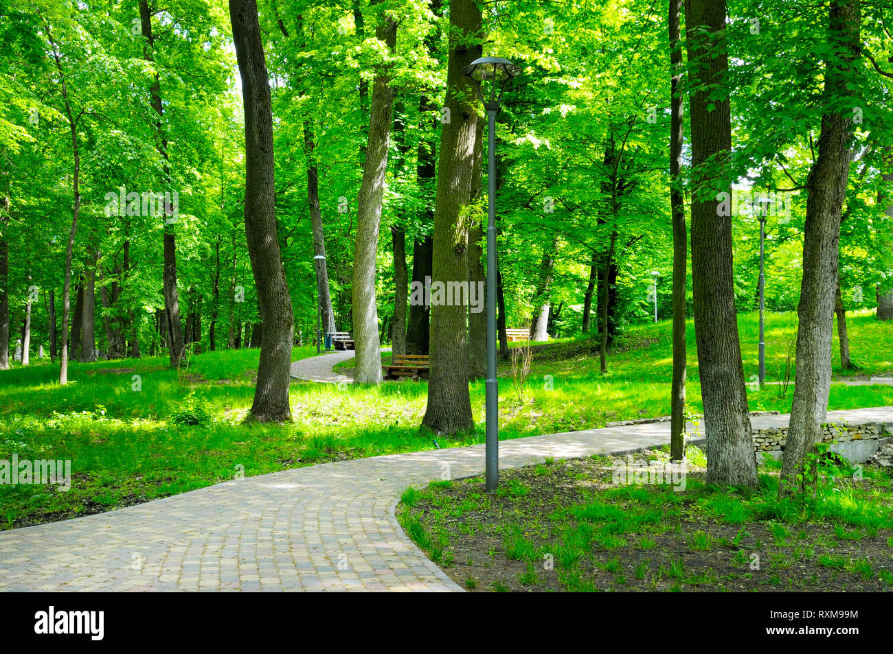 Landscape paths hi-res stock photography and images - Alamy