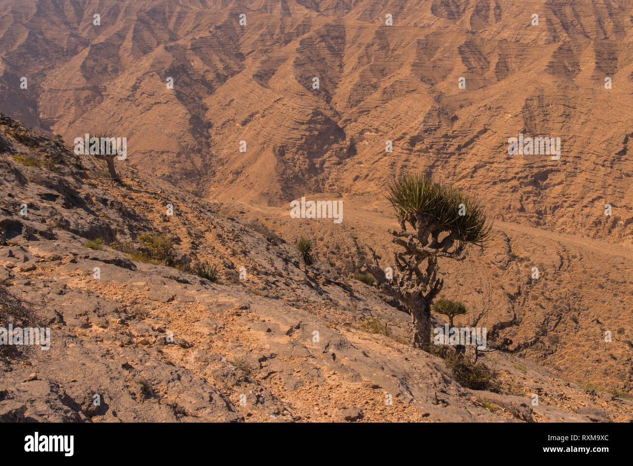 The harsh climate of the mountains of the Arabian peninsula. Dhofar  mountains. Oman Stock Photo - Alamy, image size:1300x956