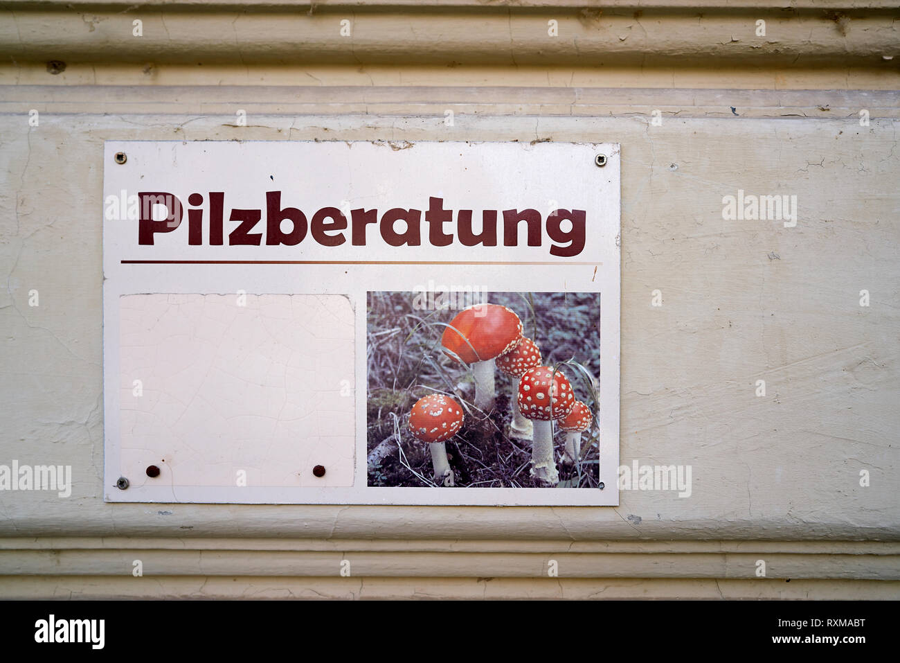 Mushroom Advice Center in Quedlinburg in Germany Stock Photo