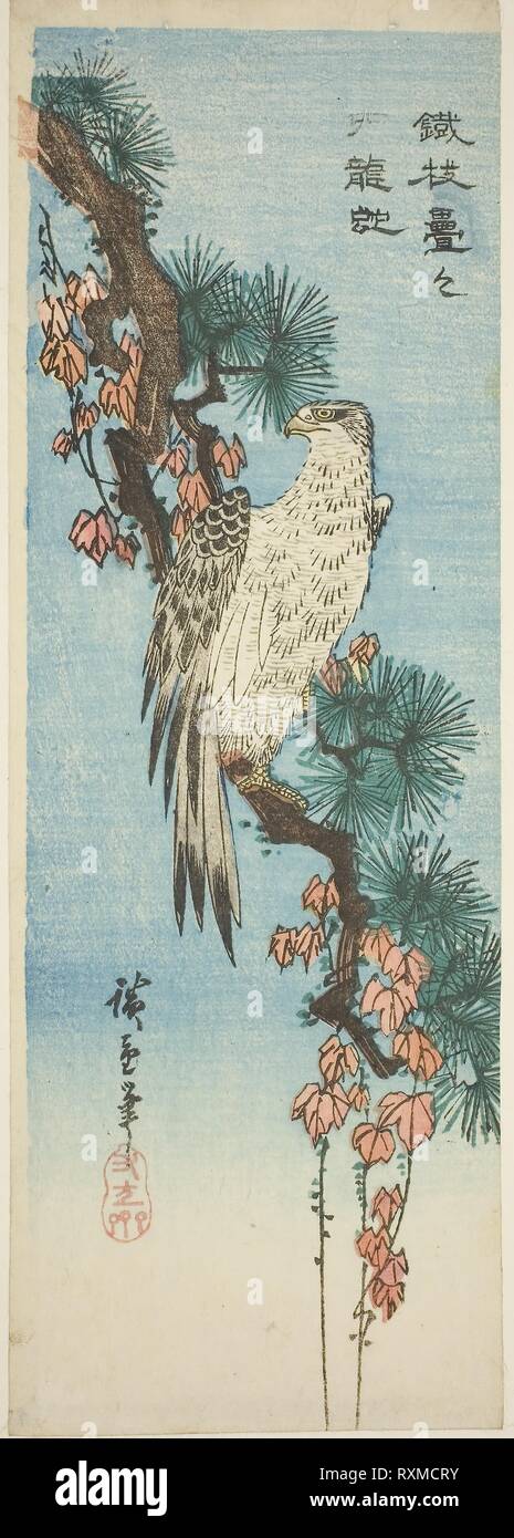 メーカー Falcon Hiroshige Utagawa branch. pine ivy-covered on 和書