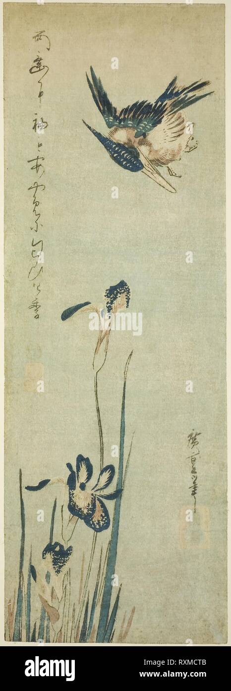 Kingfisher and iris. Utagawa Hiroshige ?? ??; Japanese, 1797-1858. Date: 1830-1839. Dimensions: 14 3/4 x 5 1/8 in. Color woodblock print; chutanzaku. Origin: Japan. Museum: The Chicago Art Institute. Stock Photo