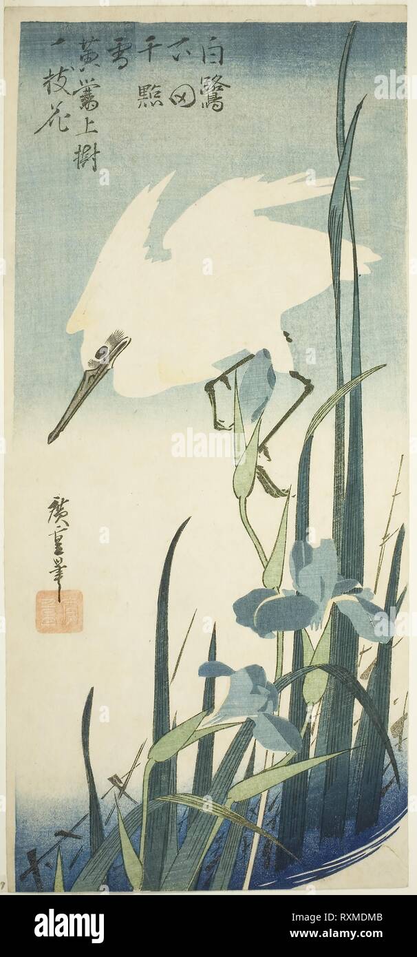 White heron and iris. Utagawa Hiroshige ?? ??; Japanese, 1797-1858. Date: 1827-1839. Dimensions: 38.4 x 17.5 cm (15 x 6 7/8 in.). Color woodblock print; otanzaku. Origin: Japan. Museum: The Chicago Art Institute. Stock Photo