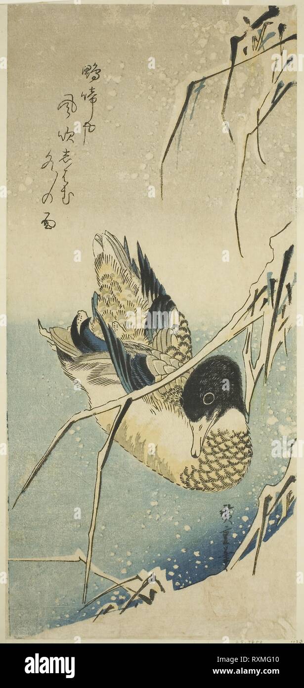 Ducks in snow. Utagawa Hiroshige ?? ??; Japanese, 1797-1858. Date: 1830-1839. Dimensions: 37.1 x 17 cm (15 x 6 3/4 in.). Color woodblock print; otanzaku. Origin: Japan. Museum: The Chicago Art Institute. Stock Photo