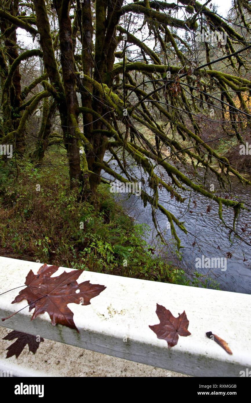 Deadwood, Lane County, Oregon, USA Stock Photo Alamy