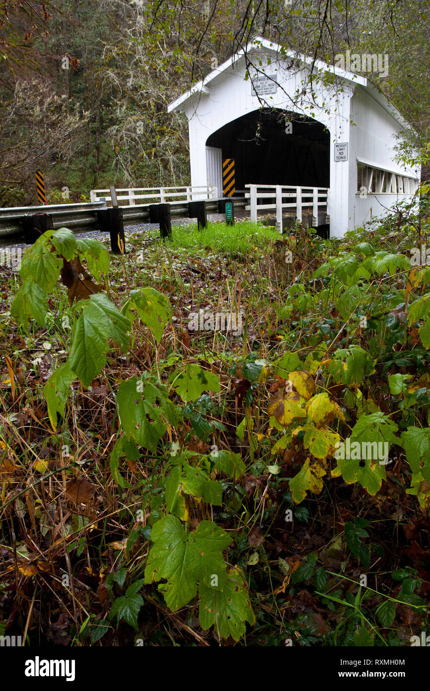 Deadwood, Lane County, Oregon, USA Stock Photo Alamy