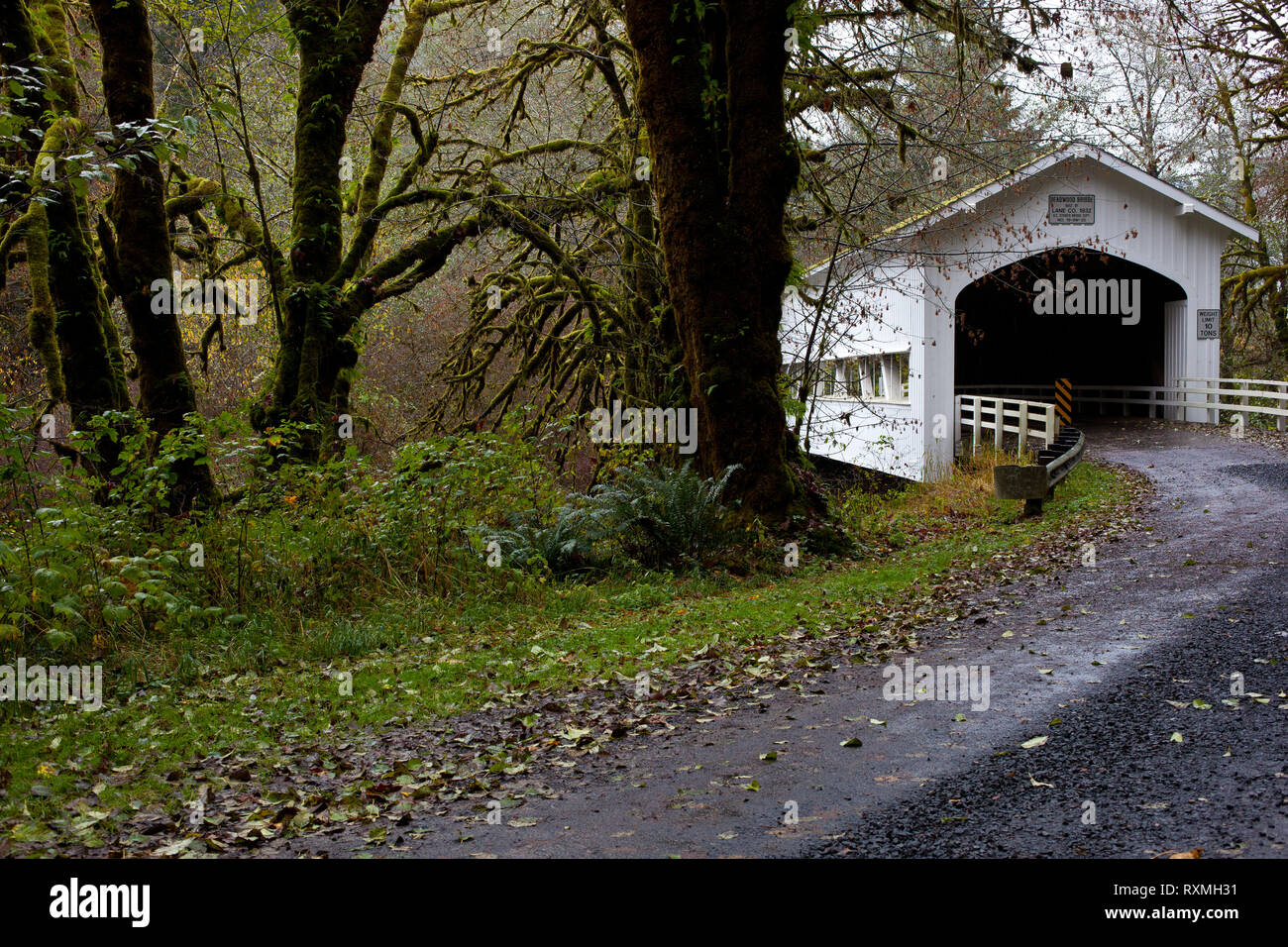 Deadwood, Lane County, Oregon, USA Stock Photo Alamy